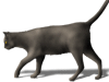 Captcha image 4790