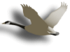 Captcha image 7908